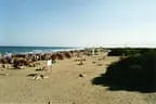 Gran Canaria 2000 Bild 7