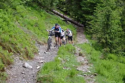 Bild 7