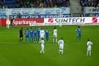 TSG Hoffenheim 2012 Bild 23