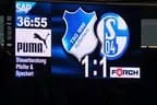 TSG Hoffenheim 2012 Bild 11