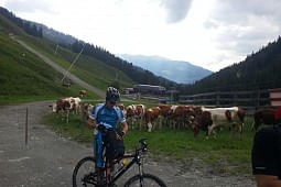 Bild 7