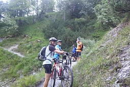 Bild 7