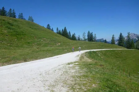 Biketour Römersattel/Kallbrunnalmen Bild 42