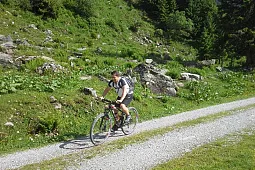 Bild 7