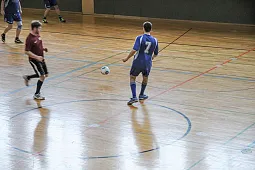 Bild 8